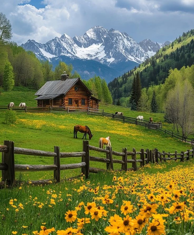 Farm 2