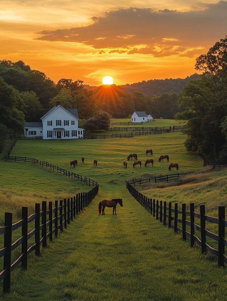 Farm 3